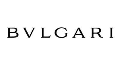 logo bvlg.jpg